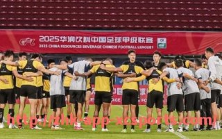 杏彩体育-穿耐克球衣的德甲球队名单及赞助时间